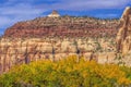 Yellow Cottonwood Trees White Red Rock Mountain Canyonlands Needles Utah Royalty Free Stock Photo