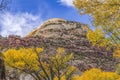 Yellow Cottonwood Trees White Rock Mountain Canyonlands Needles Utah Royalty Free Stock Photo