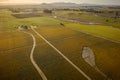 Aerial Sunrise View of Daffodil Fields in the Skagit Valley, Washington. Royalty Free Stock Photo