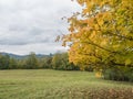 Colorful yellow, green, orange maple tree branches with meadow, forest and hills. Autumn landscape in Luzicke hory Royalty Free Stock Photo