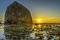 Colorful Yellow Haystack Rock Low Tide Pools Canon Beach Oregon Royalty Free Stock Photo