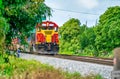 Colorful yellow and red train speeds up on the railway through the forest