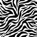 Colorful zebra exotic animal print.