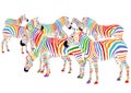 Colorful zebras