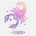 Colorful zodiac sign scorpio vector lineart. Easy to recolor.