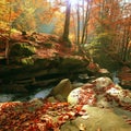 Colorfull autumn  scenery, scenic nature landscape, Carpathian mountains. Ukraine, Europe Royalty Free Stock Photo