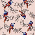 Colorfull bird background 1