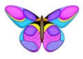 Colorfull Butterfly