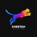 Colorfull Cheetah Logo Gradient