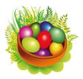 Colorfull eggs