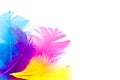 Colorfull feathers with copy-space Royalty Free Stock Photo