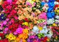 Colorfull flowers in a flower shop