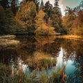 Colorfull lake in the wood sourrounded by trees in autumn