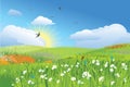 Colorfull meadow / flower and grass / vector