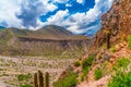 Colorfull mountains at the Parque Nacional Los Cardones Argentina