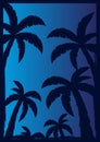 Colorfull Palms with dark background. Vector illustration.