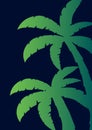 Colorfull Palms with dark background. Vector illustration.