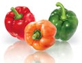 Colorfull pepper paprica on a transparent background