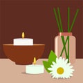 Colorfull spa tools and accessories herbs rolled up towel candles and oil vector illustration place for your text.