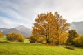 Colorfull trees in autumn foggy landscape