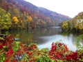 Colorfull trees, montain lake with boats