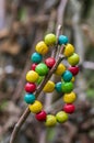 Colorfull wood beads on thread, fashionable beaded bracelets, bright beautiful colors green red yellow and light blue