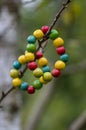 Colorfull wood beads on thread, fashionable beaded bracelets, bright beautiful colors green red yellow and light blue