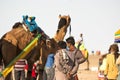 Colorfully decorated camel and it's owner standing together waiting for tourists to take a ride