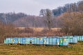 Colorfully painted wooden beehives, honey bee farm in nature