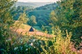 Colorfuul morning scene of Rogojel village. Fabulous summer landscape of Cluj County, Romania, Europe. Beauty of countryside