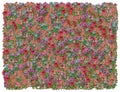 Colorific Floral background Royalty Free Stock Photo