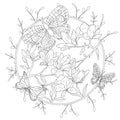 Coloring book for adult and older children. Coloring page with decorative vintage flowers and decorative butterflies