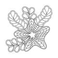 Coloring book for adults and children. Starfish and underwater plants. Vector illustration