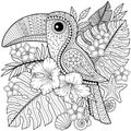 Coloring book for adults. Toucan among tropical leaves and flowers.