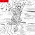 Coloring book for adults - zentangle cat book, ink pen, black and white background, intricate pattern, doodling