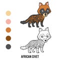 Coloring book, African civet Royalty Free Stock Photo