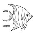 Coloring book, Angelfish