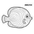 Coloring book, Angelfish