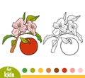 Coloring book, Apple tree branch Royalty Free Stock Photo