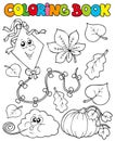 Coloring book with autumn theme 1 Royalty Free Stock Photo