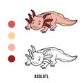 Coloring book, Axolotl