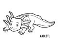 Coloring book, Axolotl