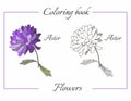 Coloring book with beautiful aster flower.