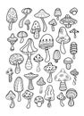 Coloring book. Beautiful openwork mushrooms of various types and shapes on a white background. Hand-drawn. All objects are