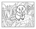 Coloring book, Beaver sits on a stone by the river