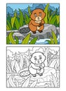 Coloring book, Beaver sits on a stone by the river