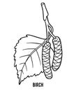 Coloring book, Birch leaf Royalty Free Stock Photo