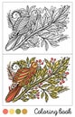 Coloring book bird page game.Color images and outline black.Child and adults antistress