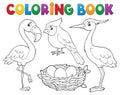 Coloring book bird topic 1