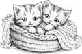 Coloring Book Black Outline, Purrfect Kittens Adorable Kittens Curled Up And Playing With Yarn Balls. Generative AI Royalty Free Stock Photo